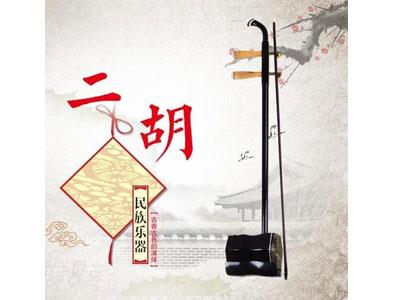 招聘安庆二胡家教老师